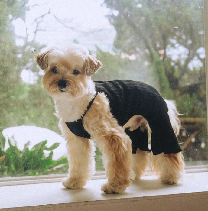 予約【noonoosoom】Twinkle Wrinkle All In One (Black)