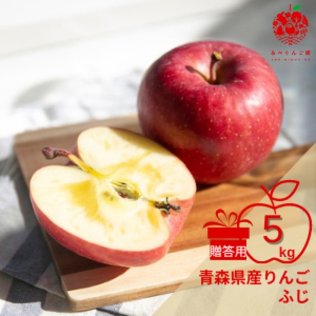 青森県産りんご ふじ 約5kg 家庭用 | あべりんご園