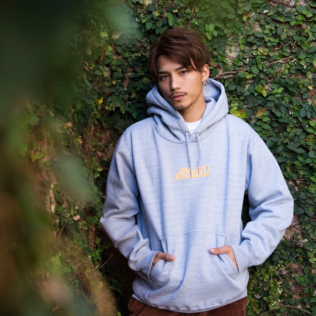 AReND 3D LOGO HOODIE(GRAY)