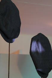 SHAMS pancake cap "SHARPEST"