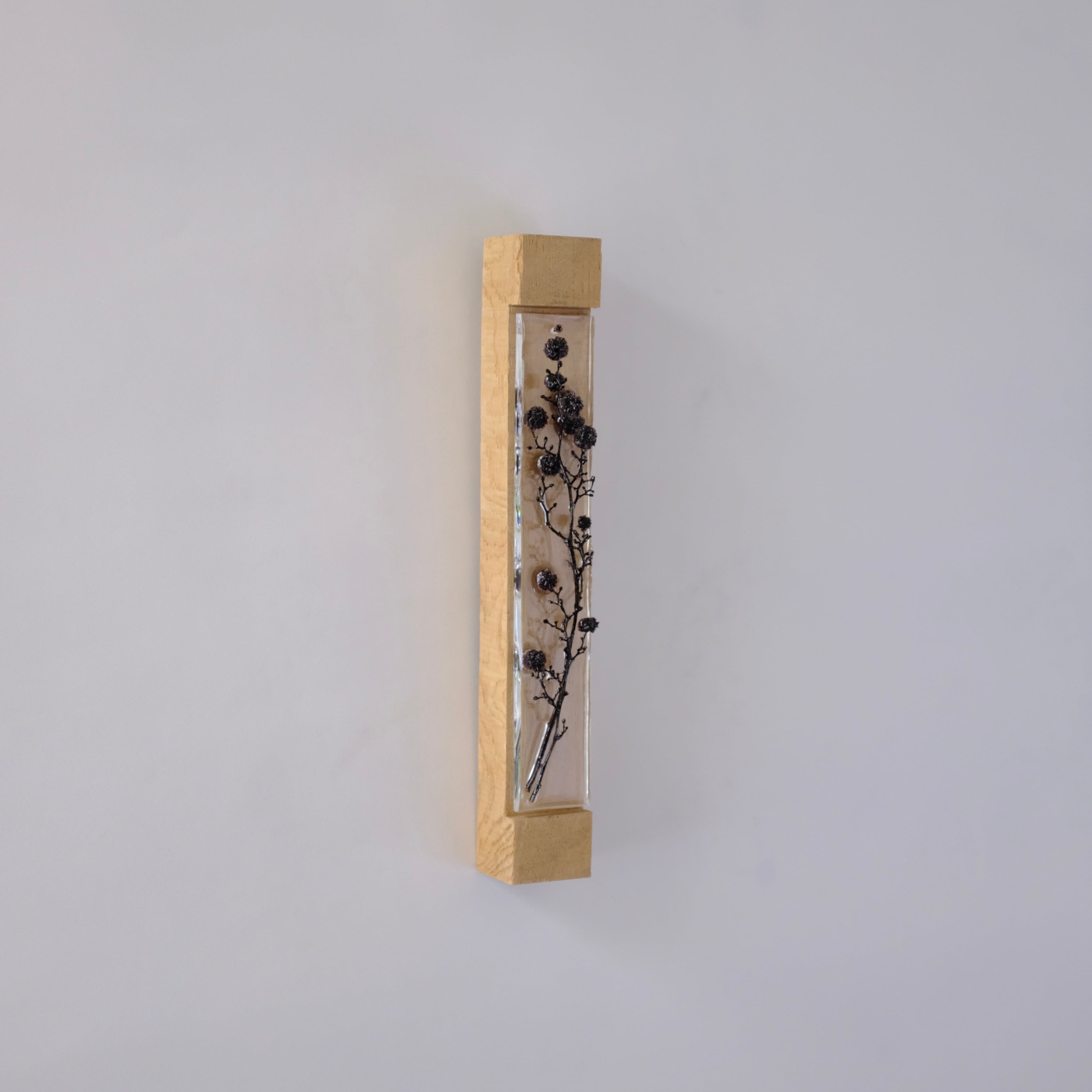 TANZAKU スターリンジア | toevalling