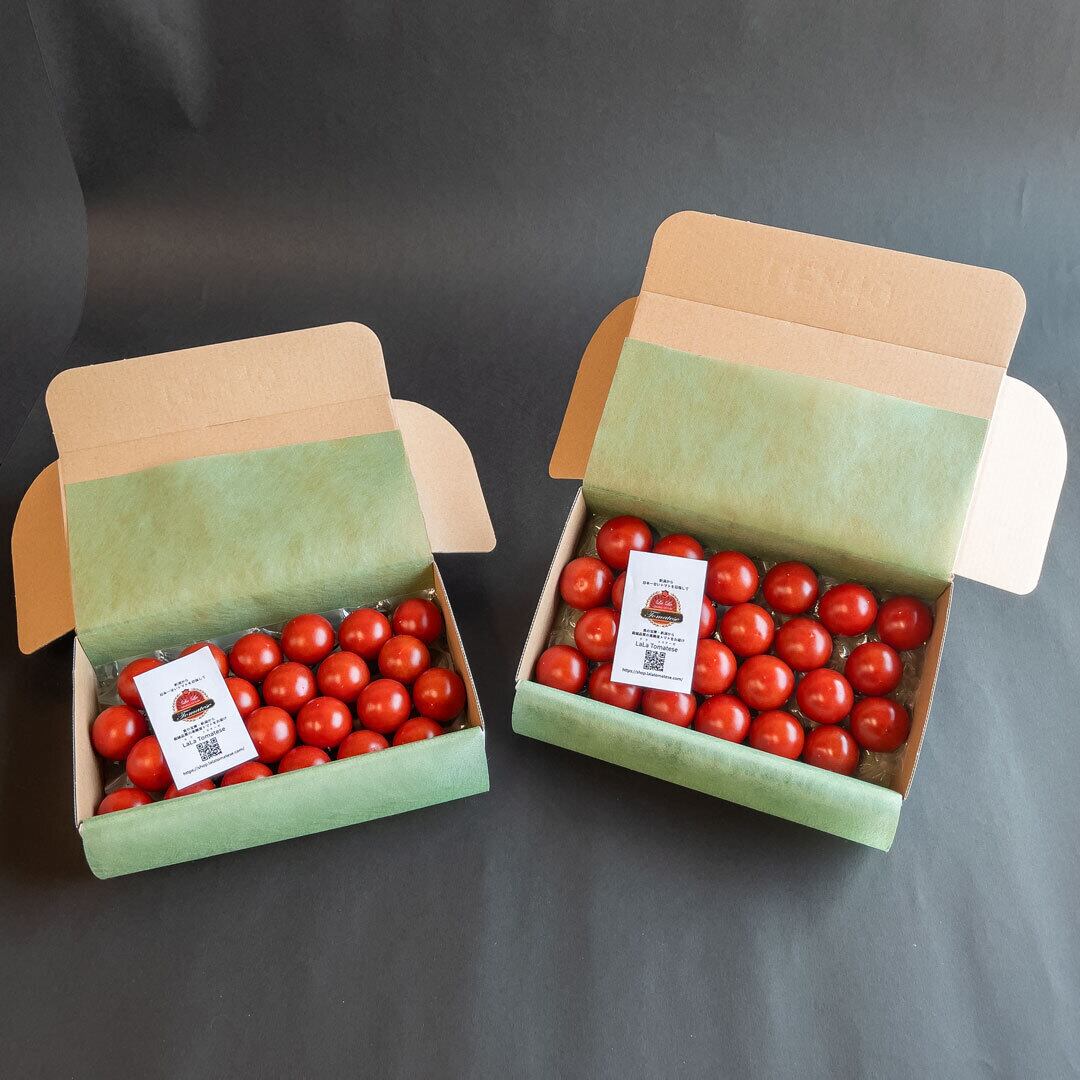 【送料無料】ララ・トマテーゼ　高糖度トマト 320gお試しパック × 2箱