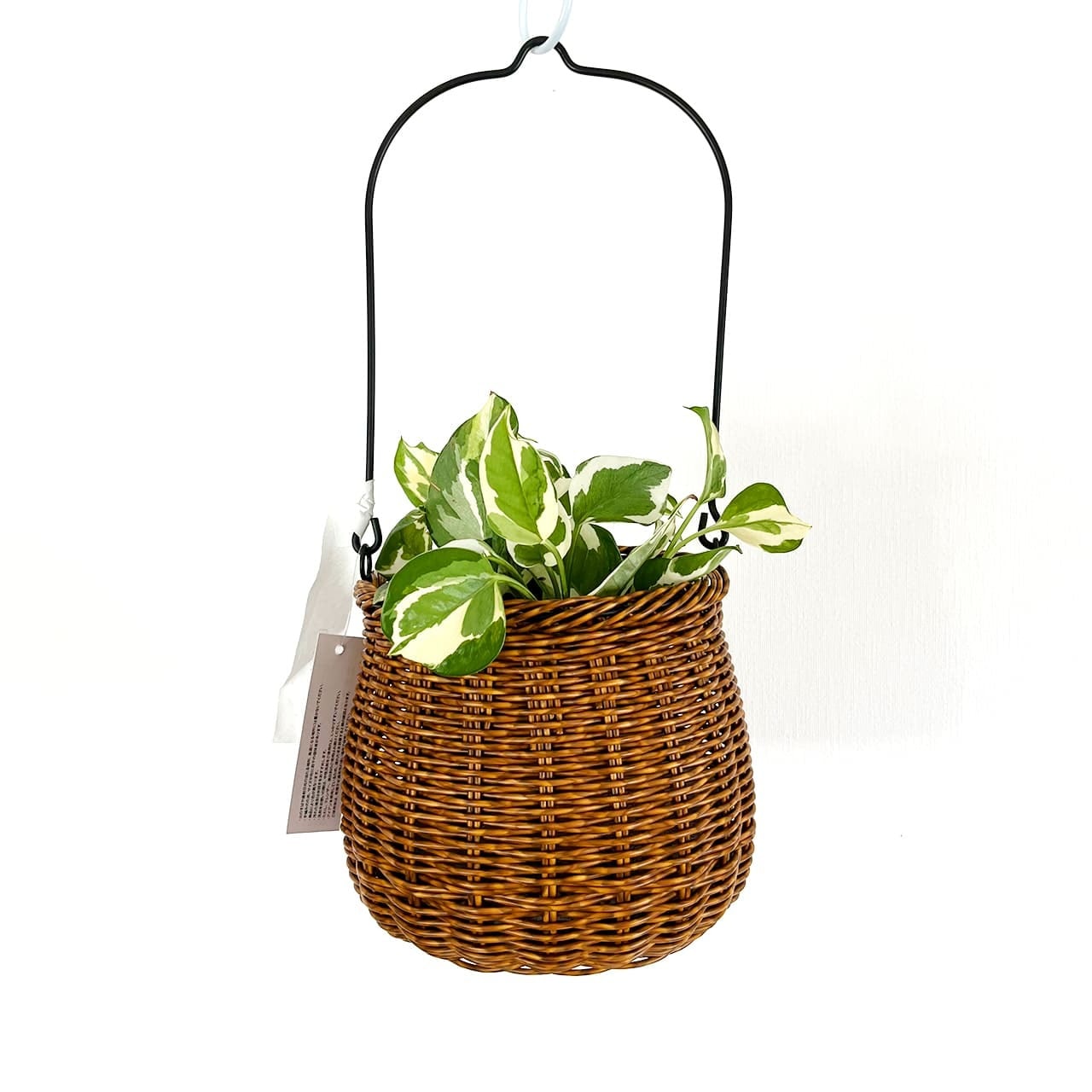 Cleer ユティル アイアンハンドルポット L