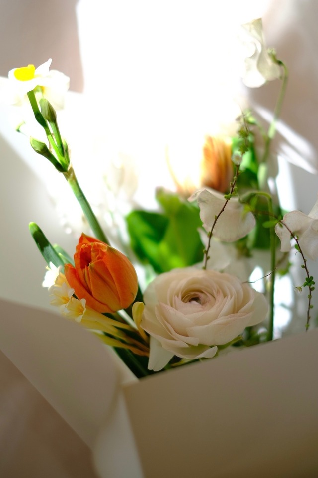 季節の花便り  -まどろみ -［1月18日(日)着便］