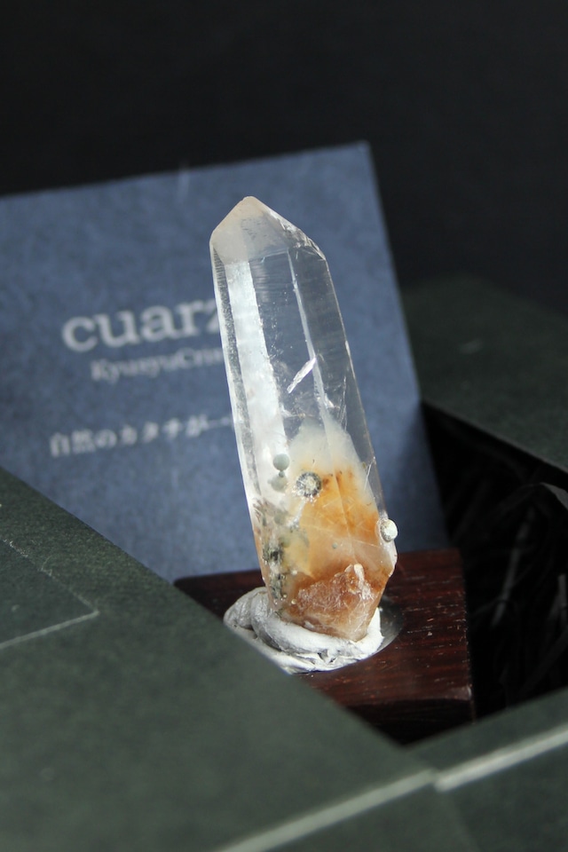 【342002】大分クリスタルまりも ローズウッドベース小