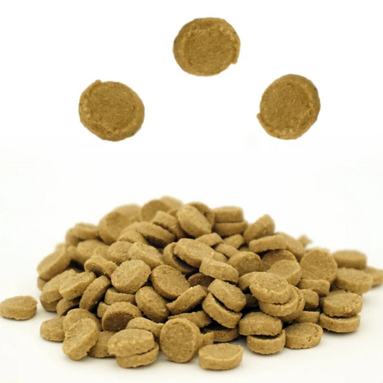 Smiley 3種類セット(チキン、ポーク、まぐろ) 1.5kg(500g×3)全年齢・全犬種対応 獣医学に基づくフード・画像4