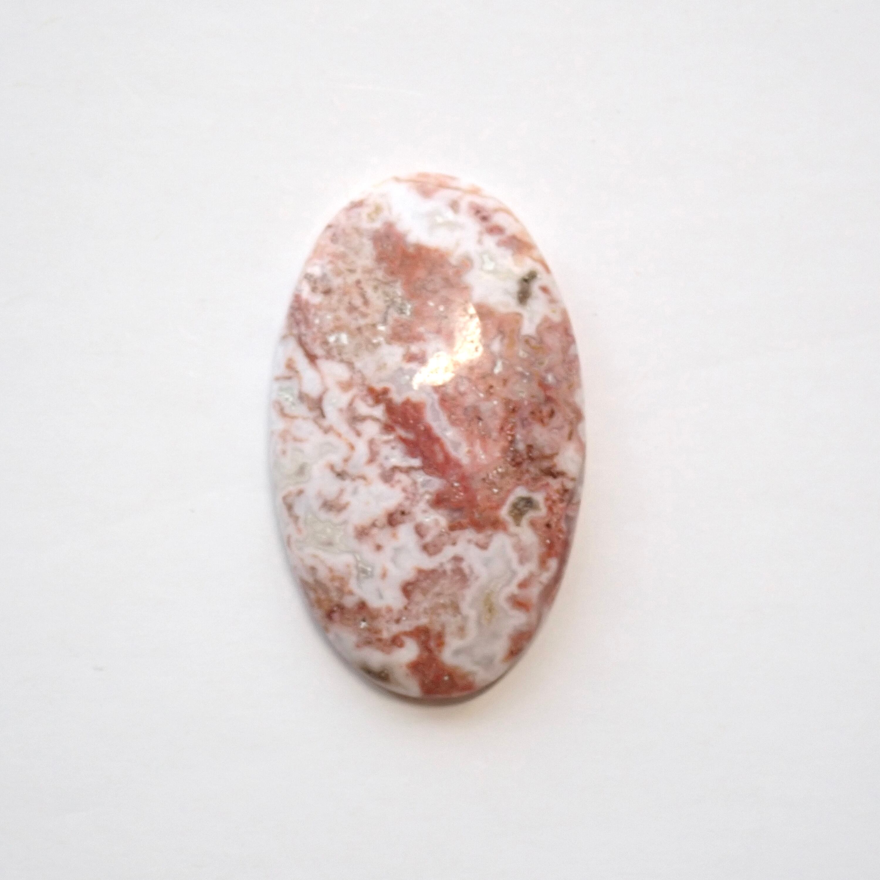 ロゼッタジャスパー 06