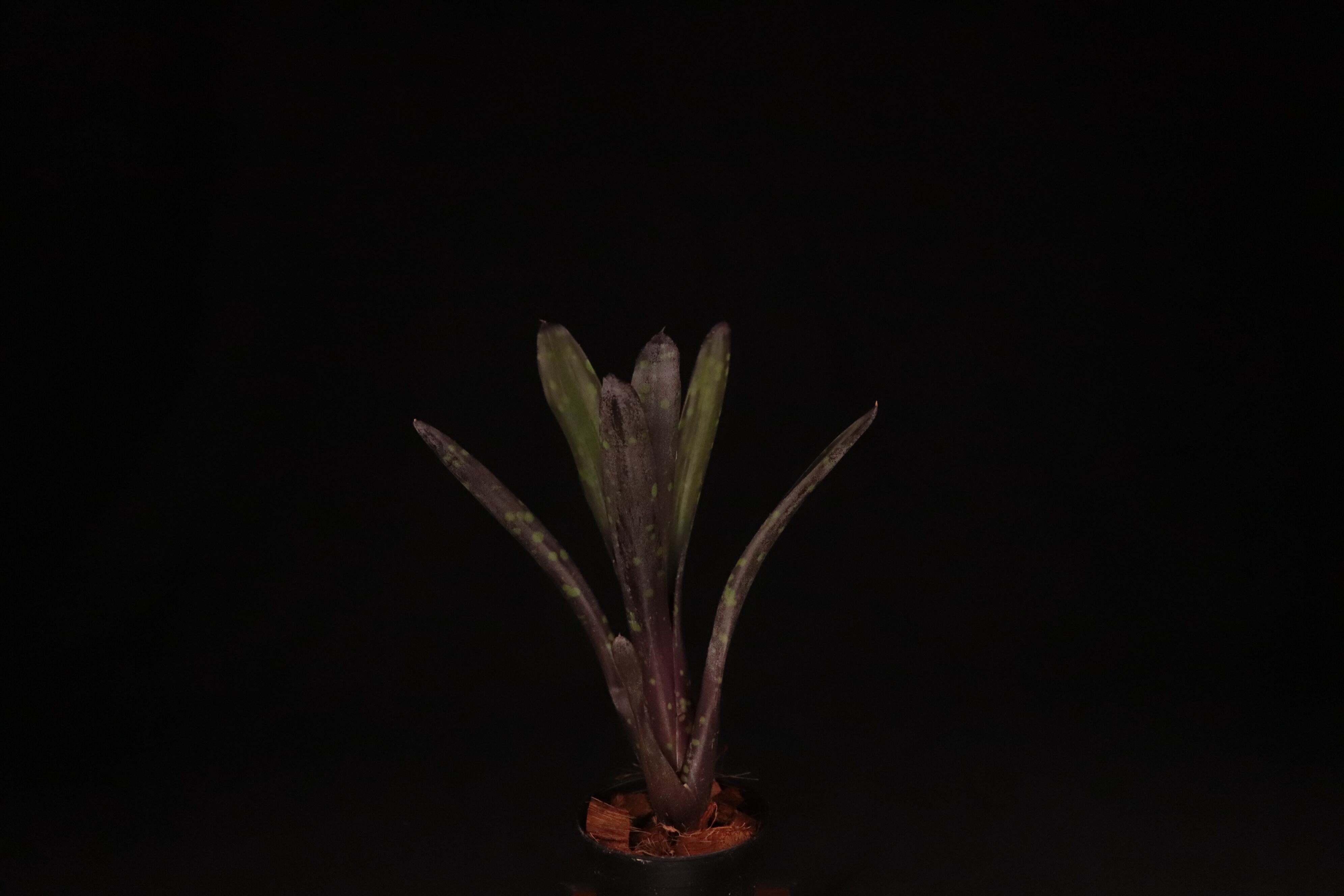 8b33f57e868f32e7d621e2e49f987b