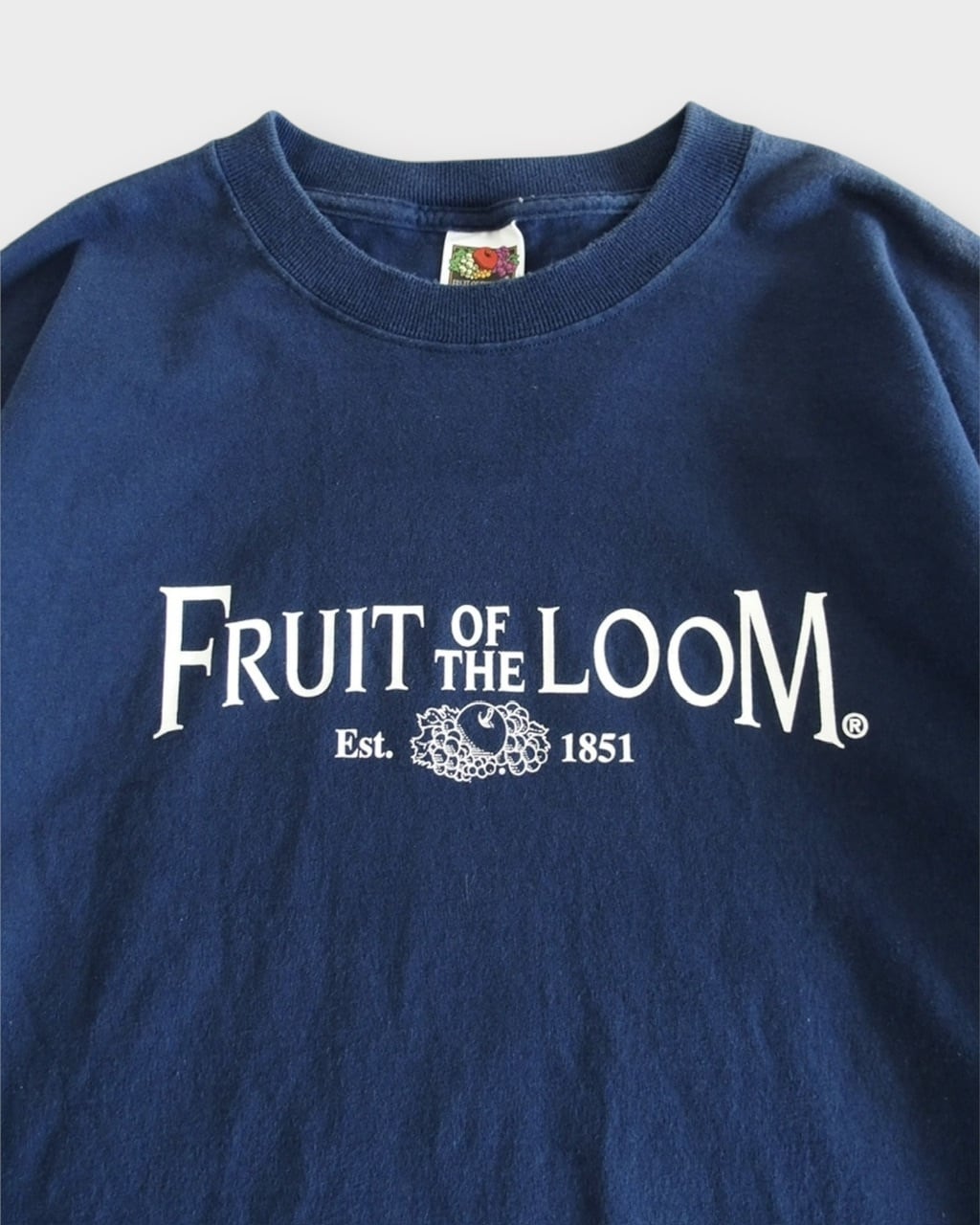 FRUIT OF THE ROOM T-shirt