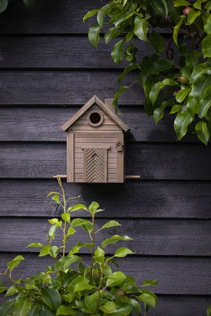 コテージ / グリーンアンバー　(巣箱・フィード)