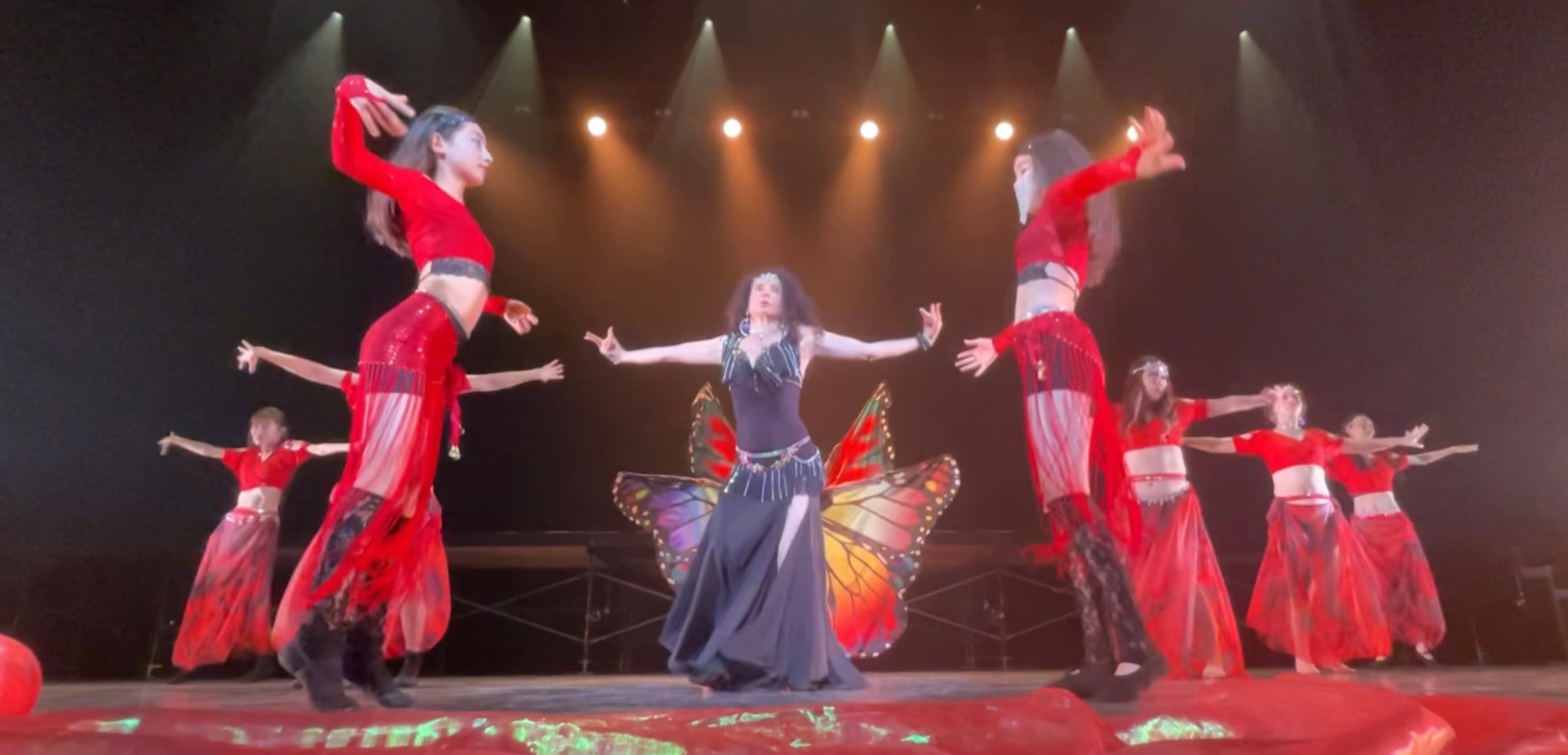 ベリーダンスイシスウィング非常に美しい蝶の羽イシスの羽、多くの