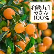 ゴールドパック 国産みかんジュース(ストレート) 160g×20本