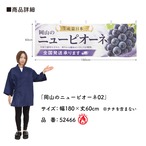 【受注生産】横幕 防炎 ポンジ 岡山のニューピオーネ02 180×60cm 52466