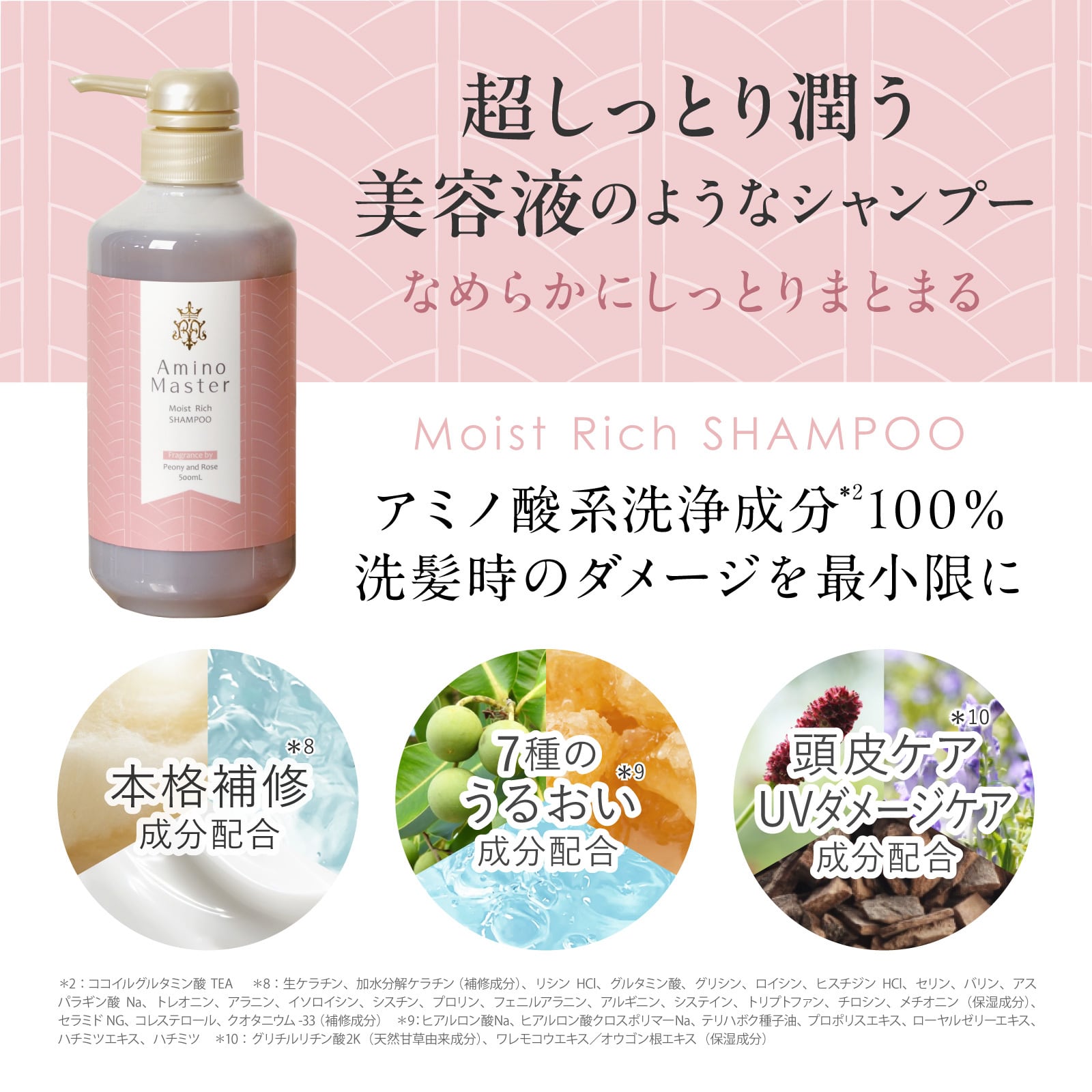 アミノマスター モイストリッチシャンプー 500mL #83374 | アミノ