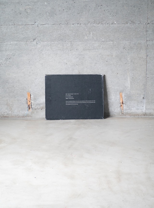 "Phillip Toledano" used BANKRUPT photo book