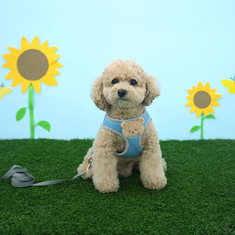 soft bear harness S ～ L 2color / 犬用 ハーネス 胴輪 リード 光る 夜のお散歩 メッシュ素材 サイズ 調節 通気性 可愛い 犬ハーネス お出かけ 散歩 小型犬 中型犬 韓国ワンコ服 クマ柄 お揃い