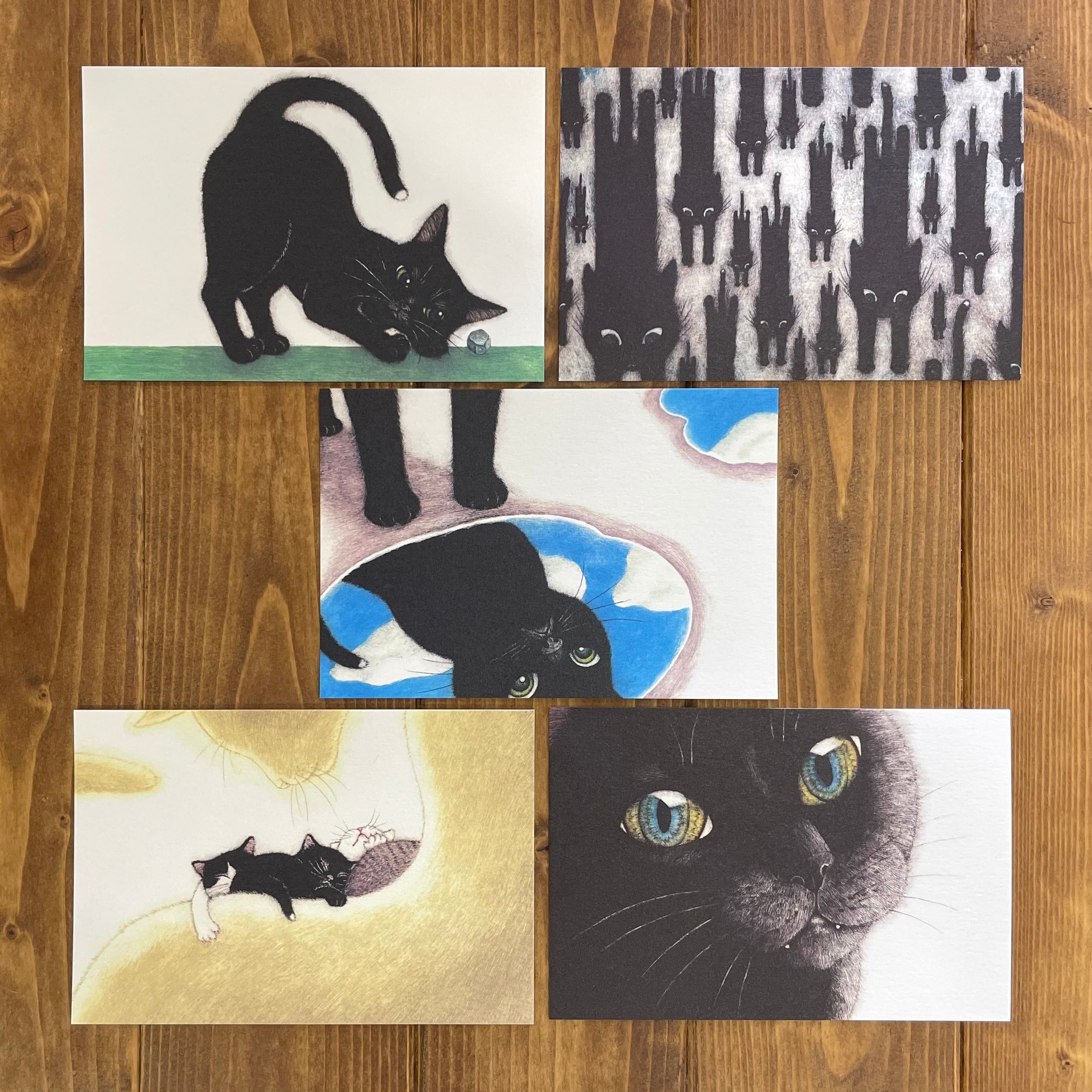 ▸坂本 千明 | 猫雑貨のお店 ネコ曜日