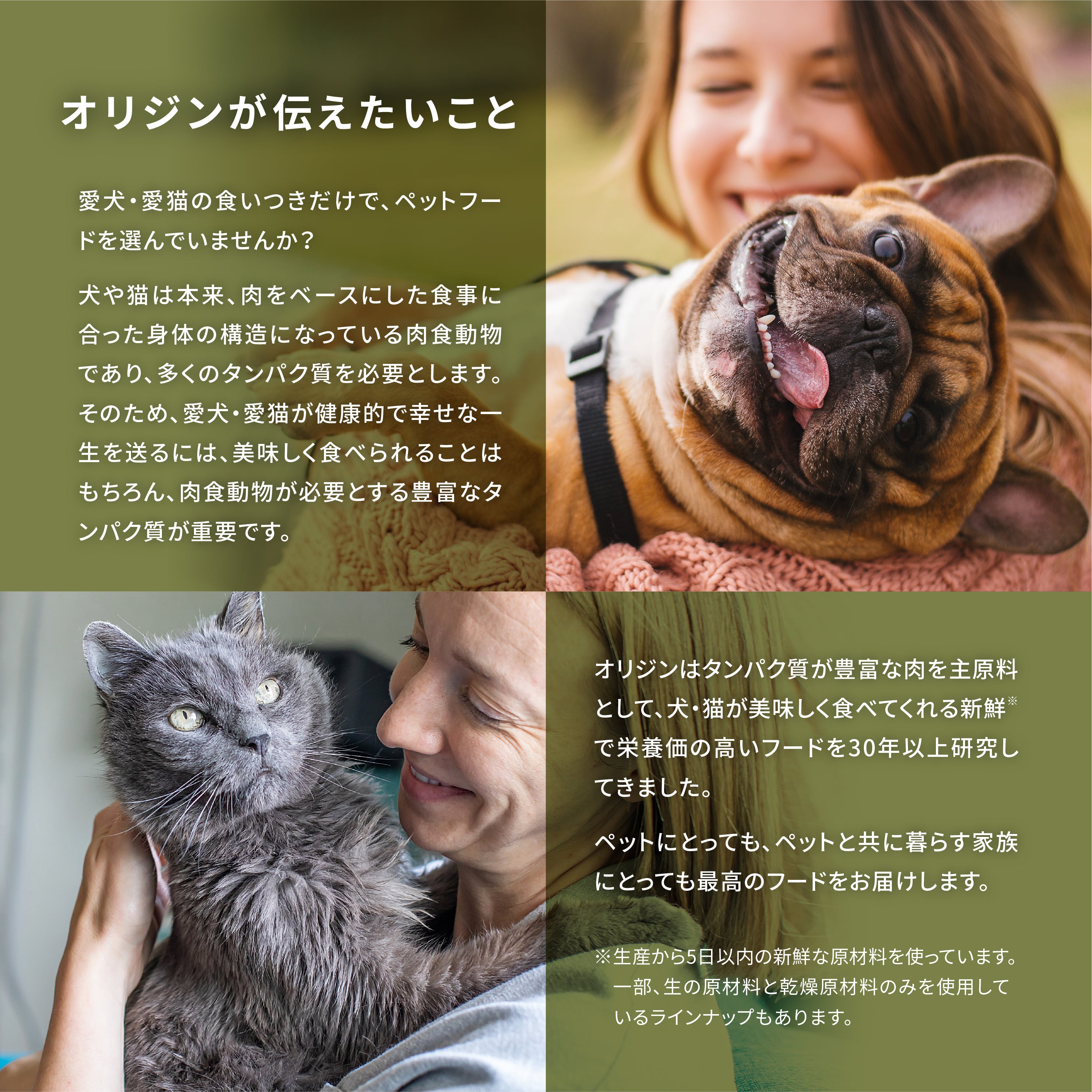 送料無料】オリジン オリジナル ドッグ 50g×5袋【お試し】 | ZIWI