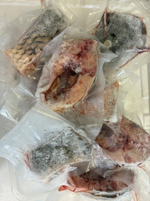 【１点のみ・活魚時1.3kg•定価より480円引き】［冷凍］鯉輪切り中サイズ　8切り　ウロコ処理済