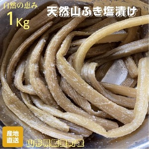 予約販売 天然山菜 山ふきの塩漬け1Kg 自然の恵み 山形県飯豊町産 送料無料