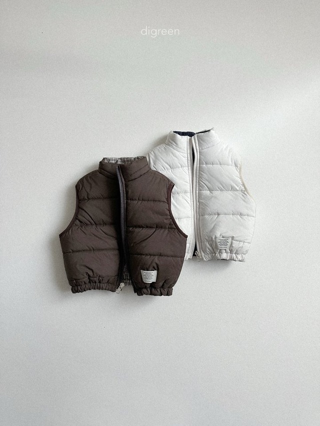 digreen25wn_Reversible Vest
