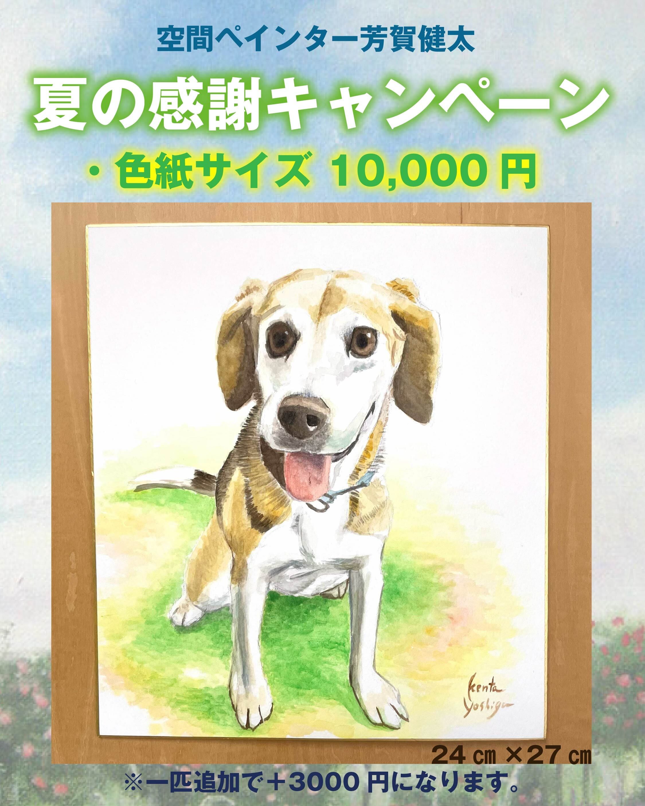 ペットの絵】mini肖像画制作（水彩・色紙サイズ） | 空間ペインター