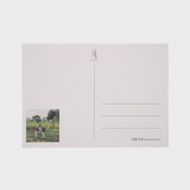 jainjain ポストカード / Mixed breed dog