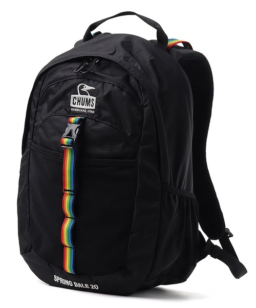 CHUMS チャムス スプリングデール20 CH60-4099 バックパック デイパック リュック 20L メンズ レディース 軽量 アウトドア 通勤 通学 春 夏 秋 冬 オールシーズン Black/Rainbow