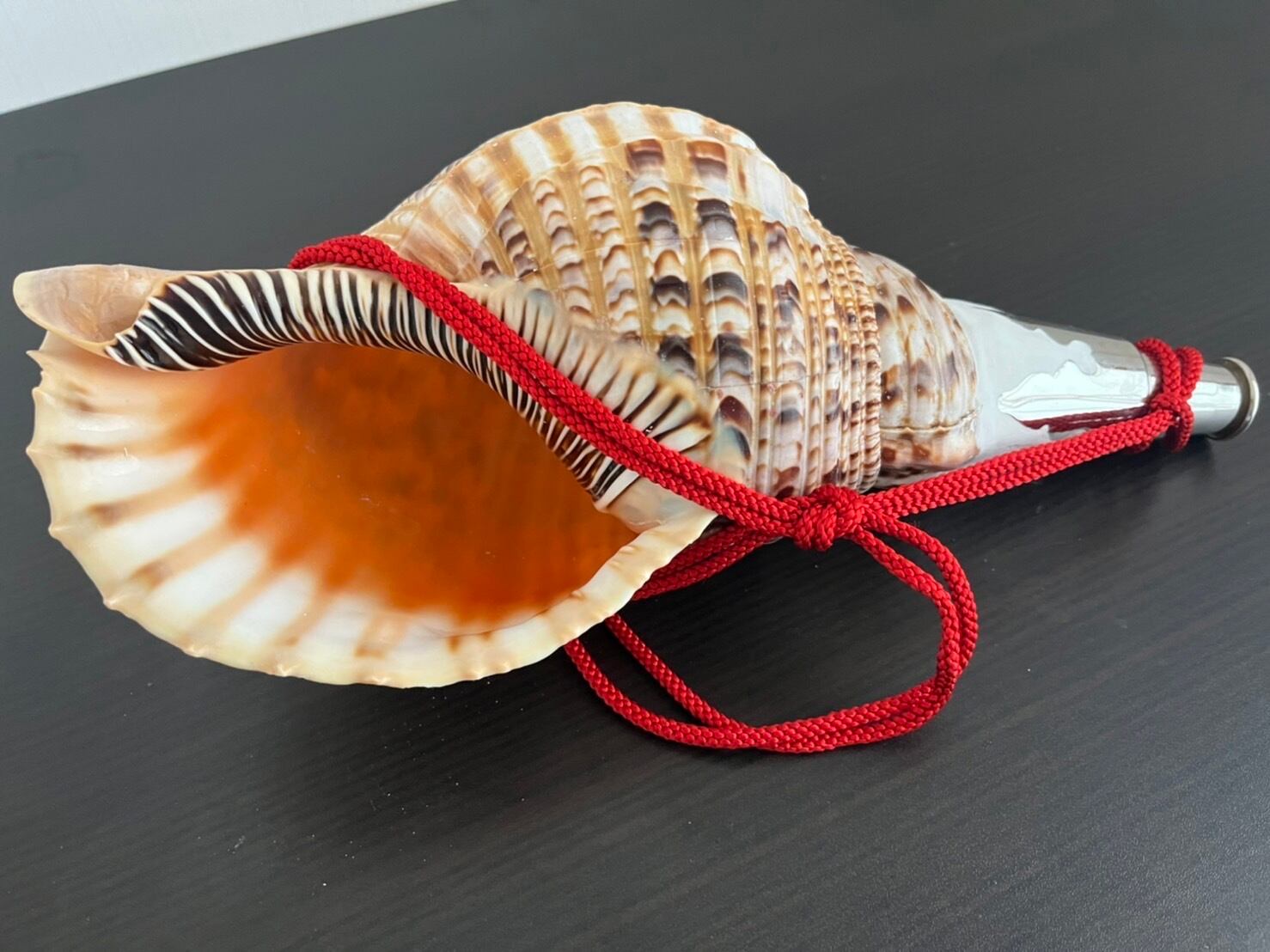 法螺貝　笛　木製吹口付き　和楽器 法螺貝笛木製吹口付き和楽器