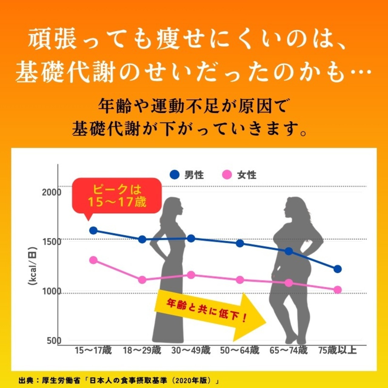 オールスターズダイエット プレミアム