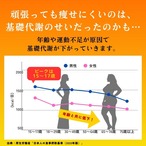 オールスターズダイエット プレミアム