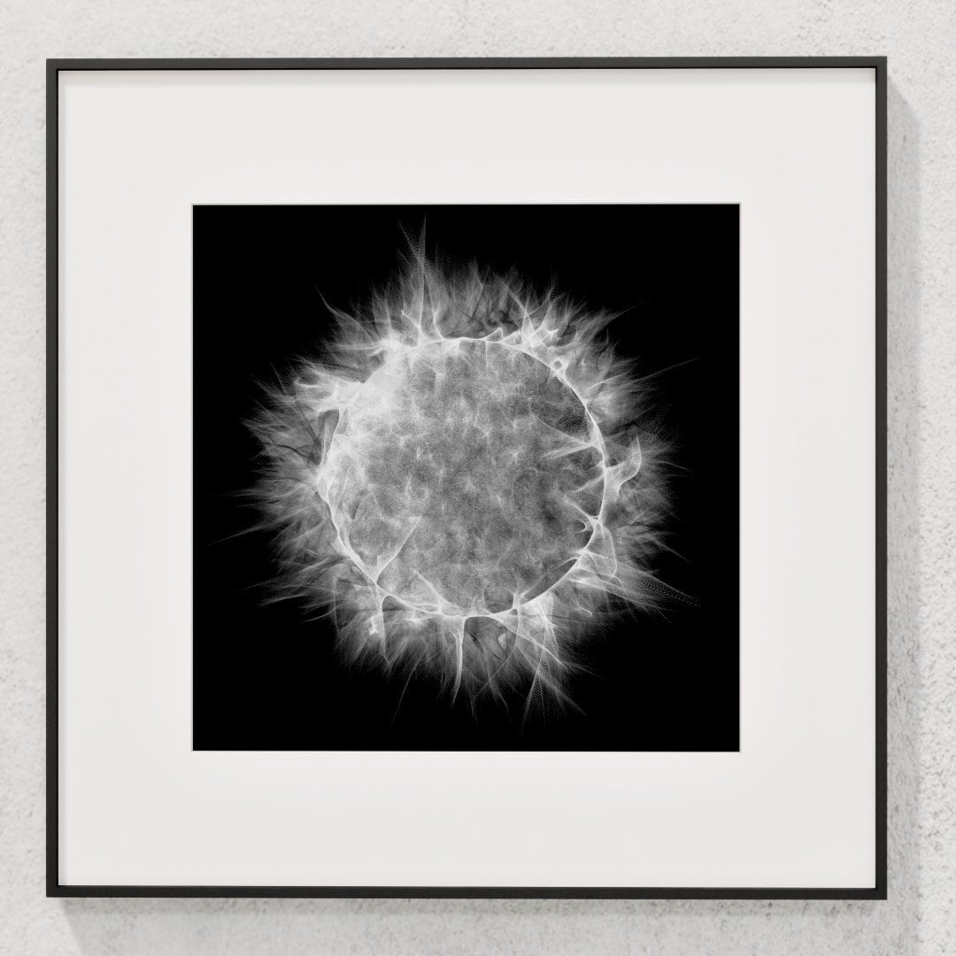 Mk.God - sun, α.001, white, A3ps | 額装済みのオリジナルアート