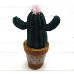 【さぼてN】お目々付きさぼてんあみぐるみ（わーい）/あみぐるみ