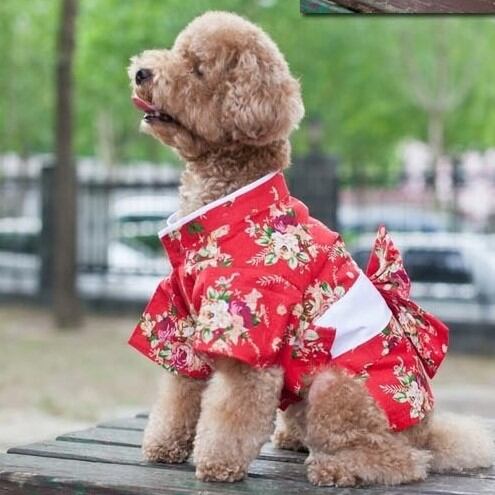 胸囲106cmまでOK! 大きめ花柄の和服