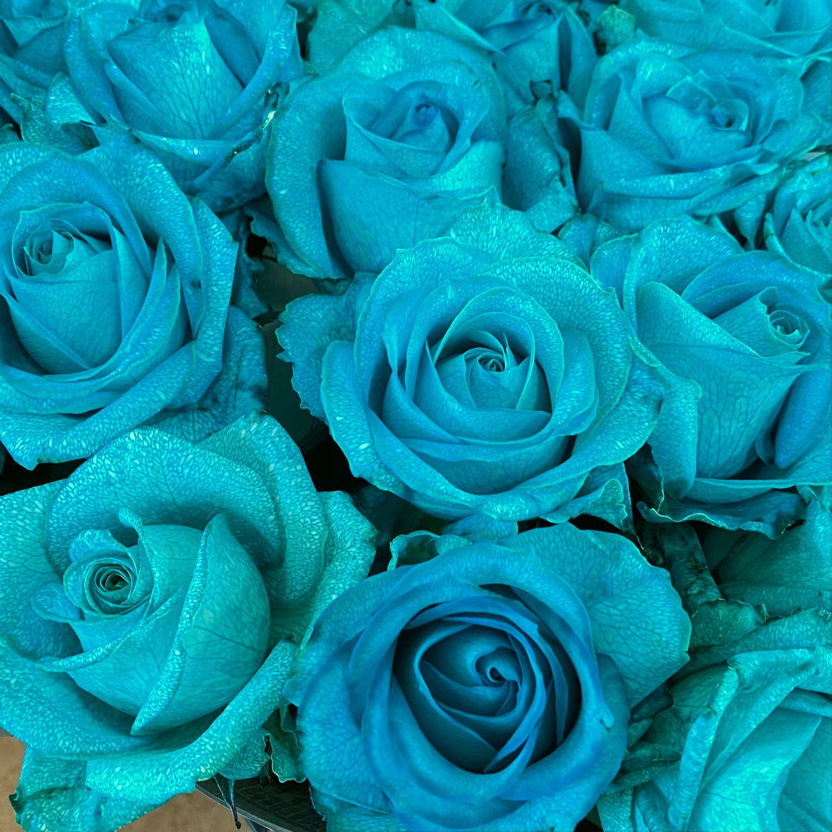 8b6321d789abc6e2c690629e79be4b  