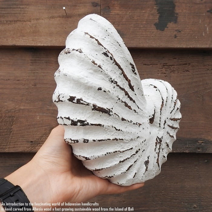 木製 オブジェ オウムガイ Lサイズ 21cm 貝 ホワイトウォッシュ 木彫り