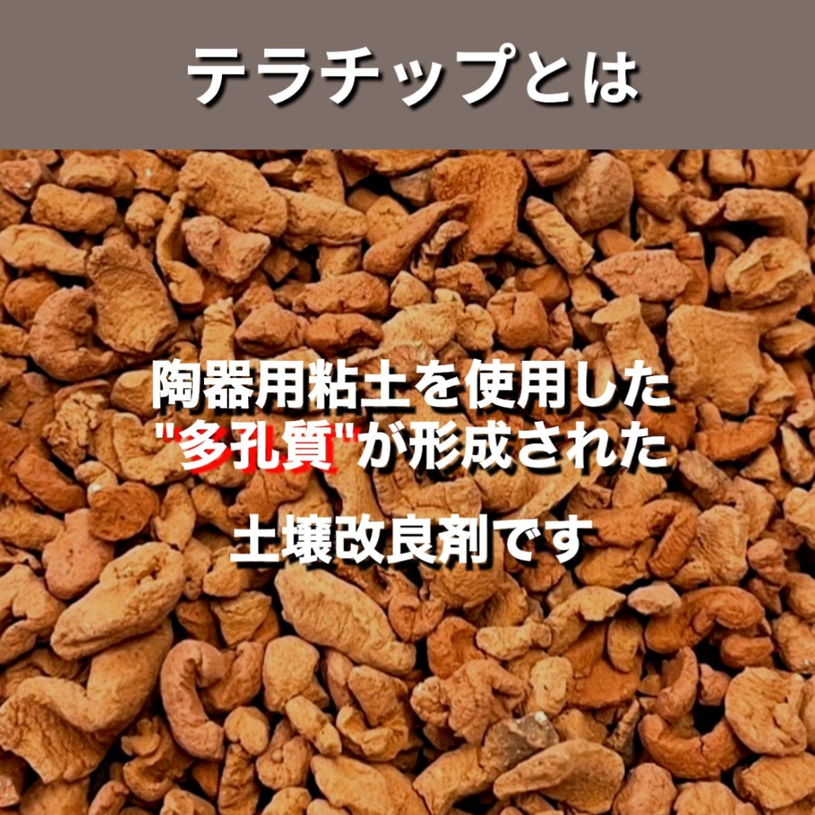 赤焼 600ml【テラチップ®️】