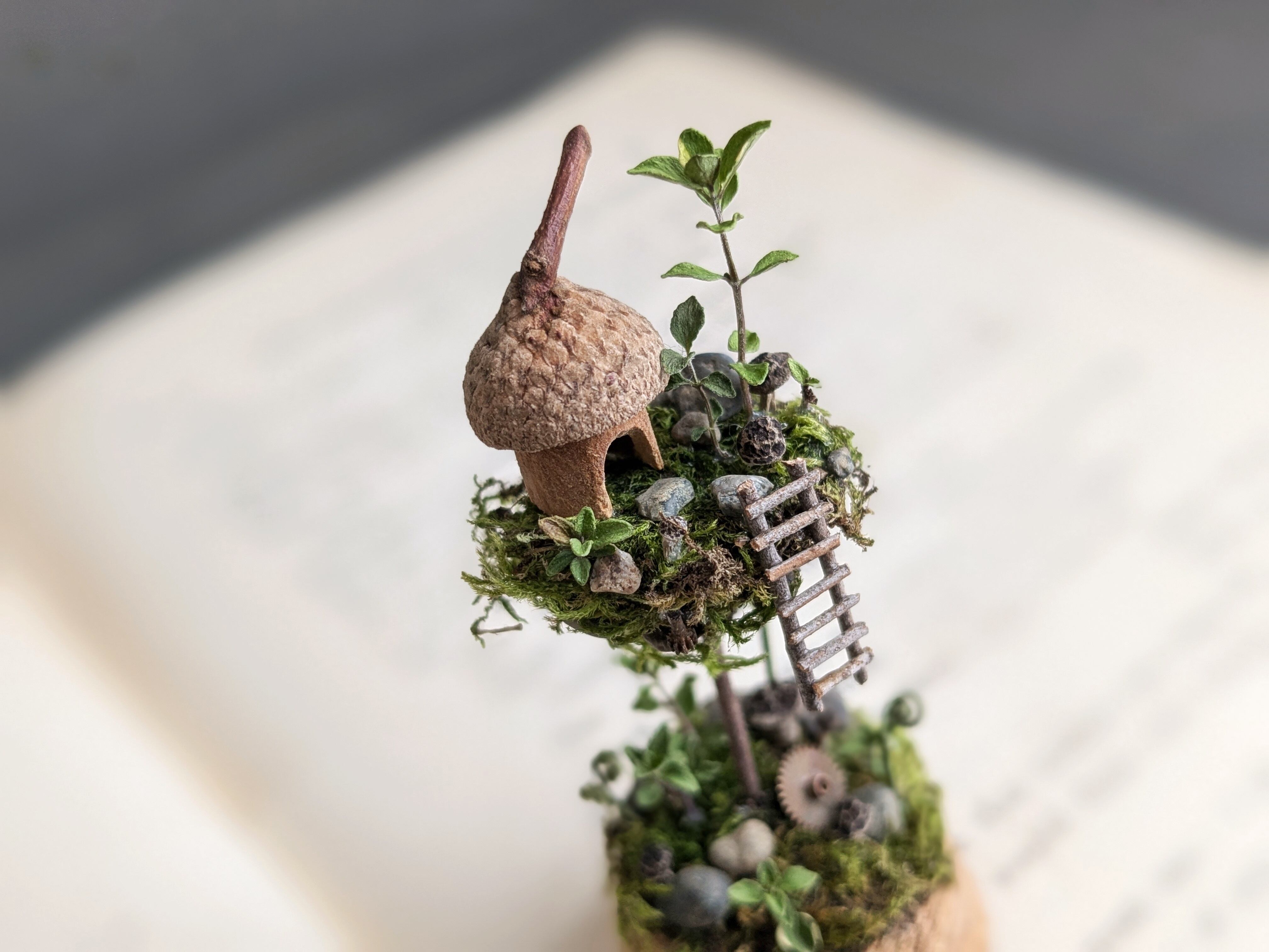 未使用 ロゼモン 時計 ジュネーブ 北川景子