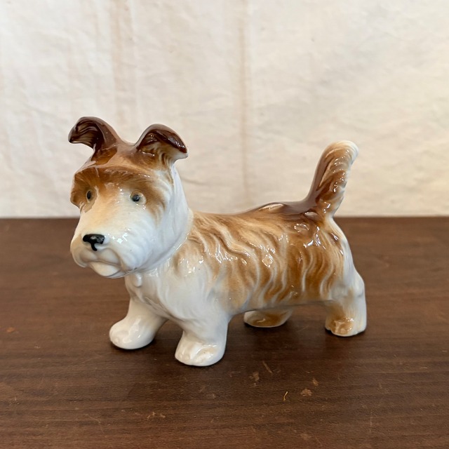 しっかり系の犬