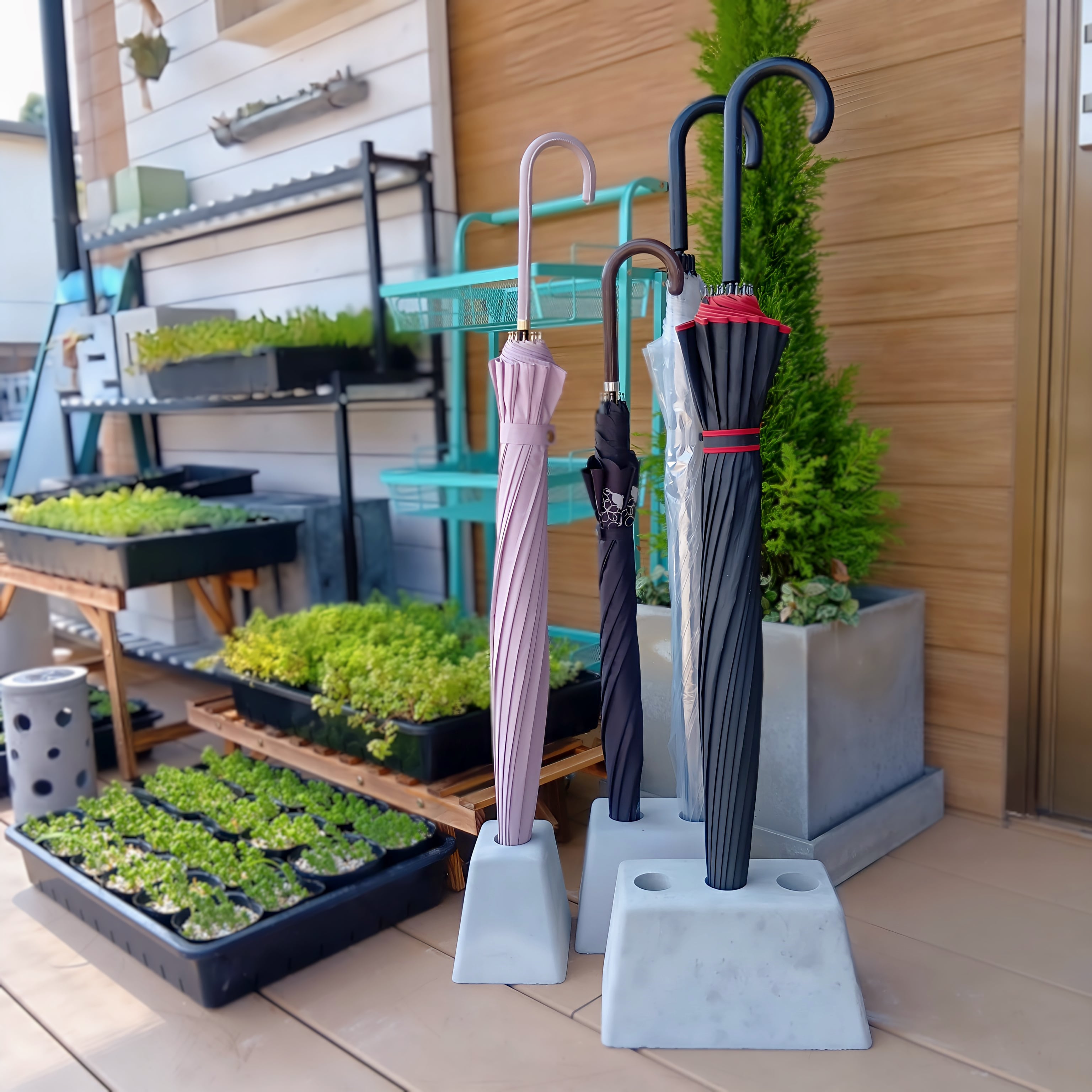 コンクリート 傘立て 2本用 インテリア エクステリア エントランス