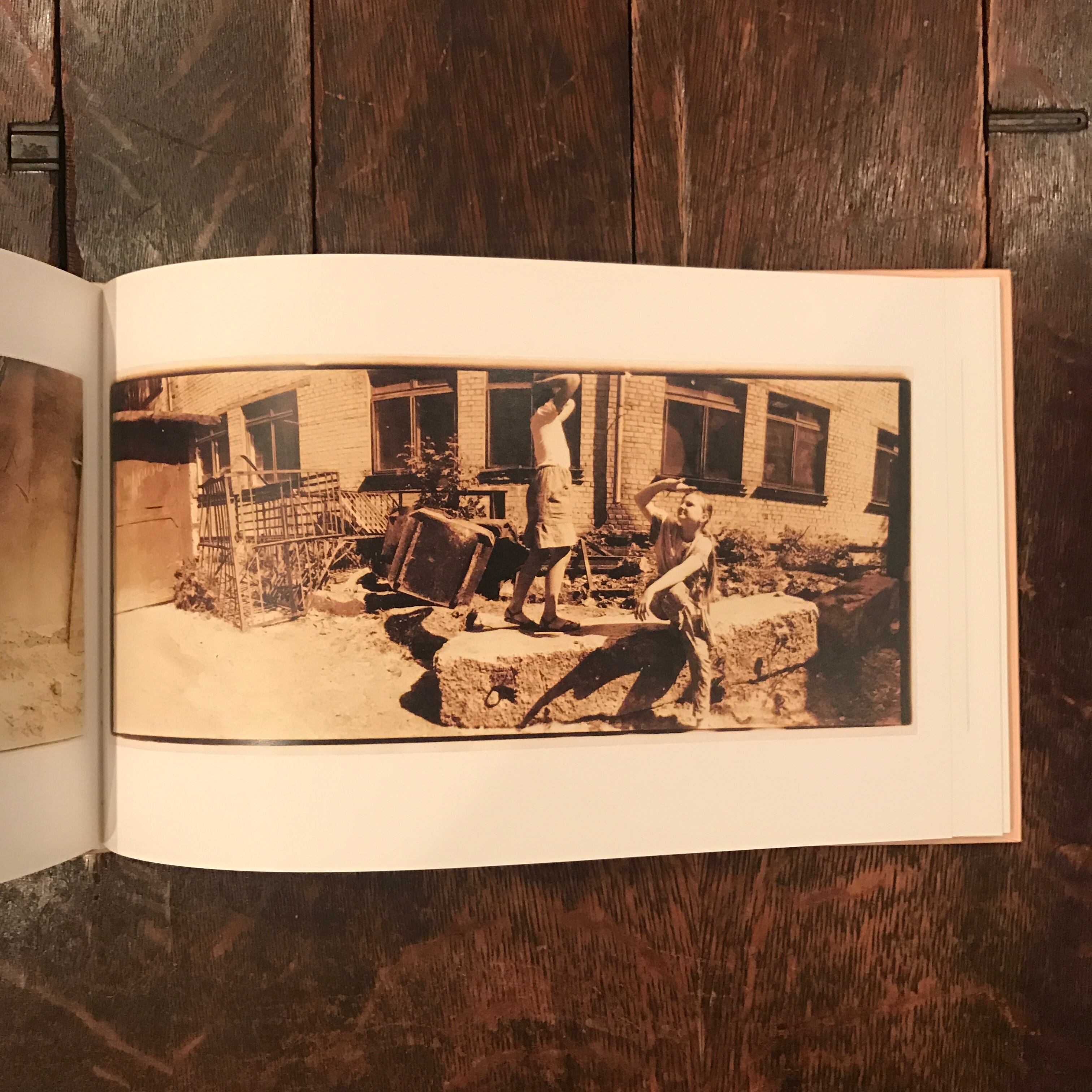 Am Boden (By the Ground) Die DAMMERUNG (At Dusk) / Boris Mikhailov