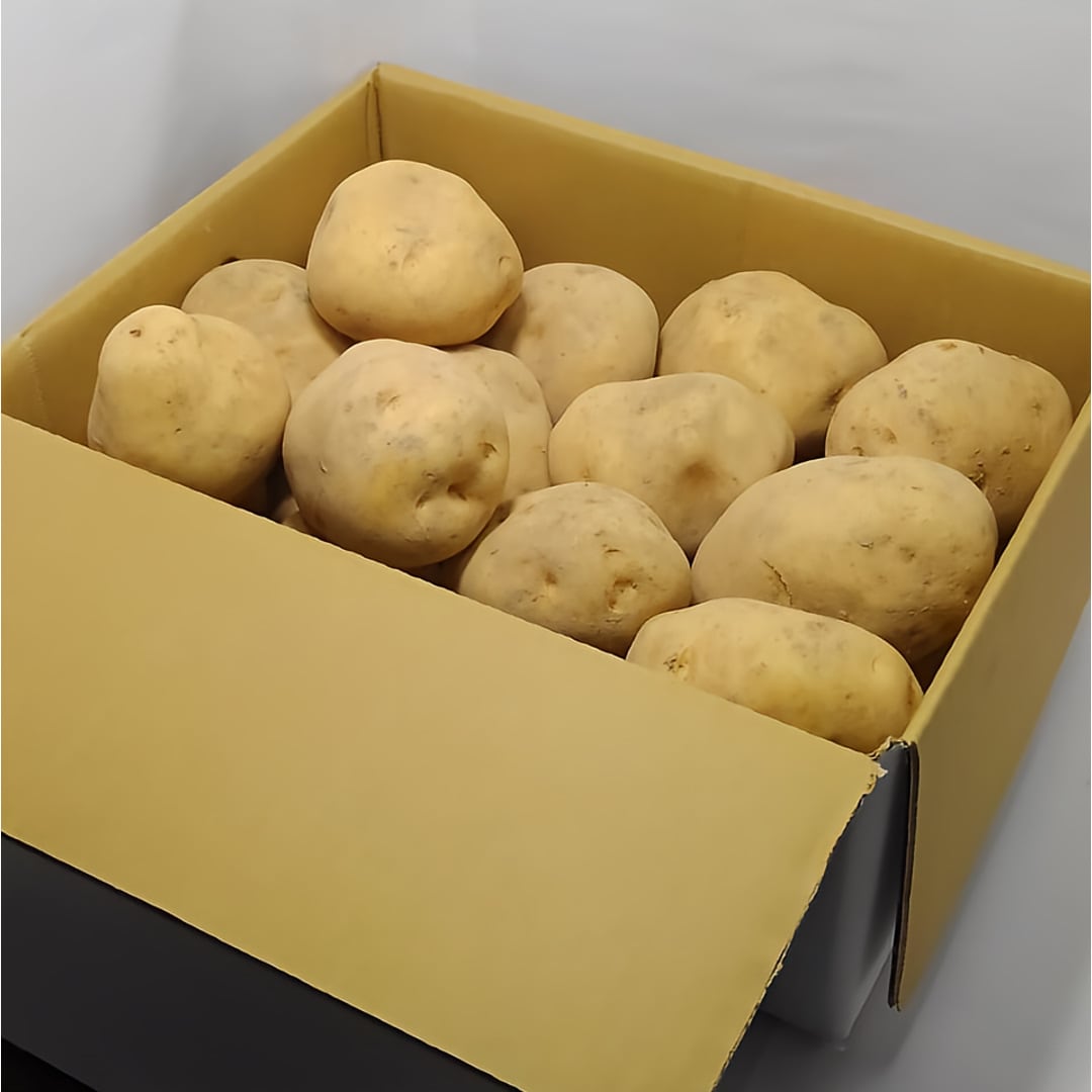 有機栽培 熊本県天草産の野菜】じゃがいも（2Kg）（有機JAS認証対応