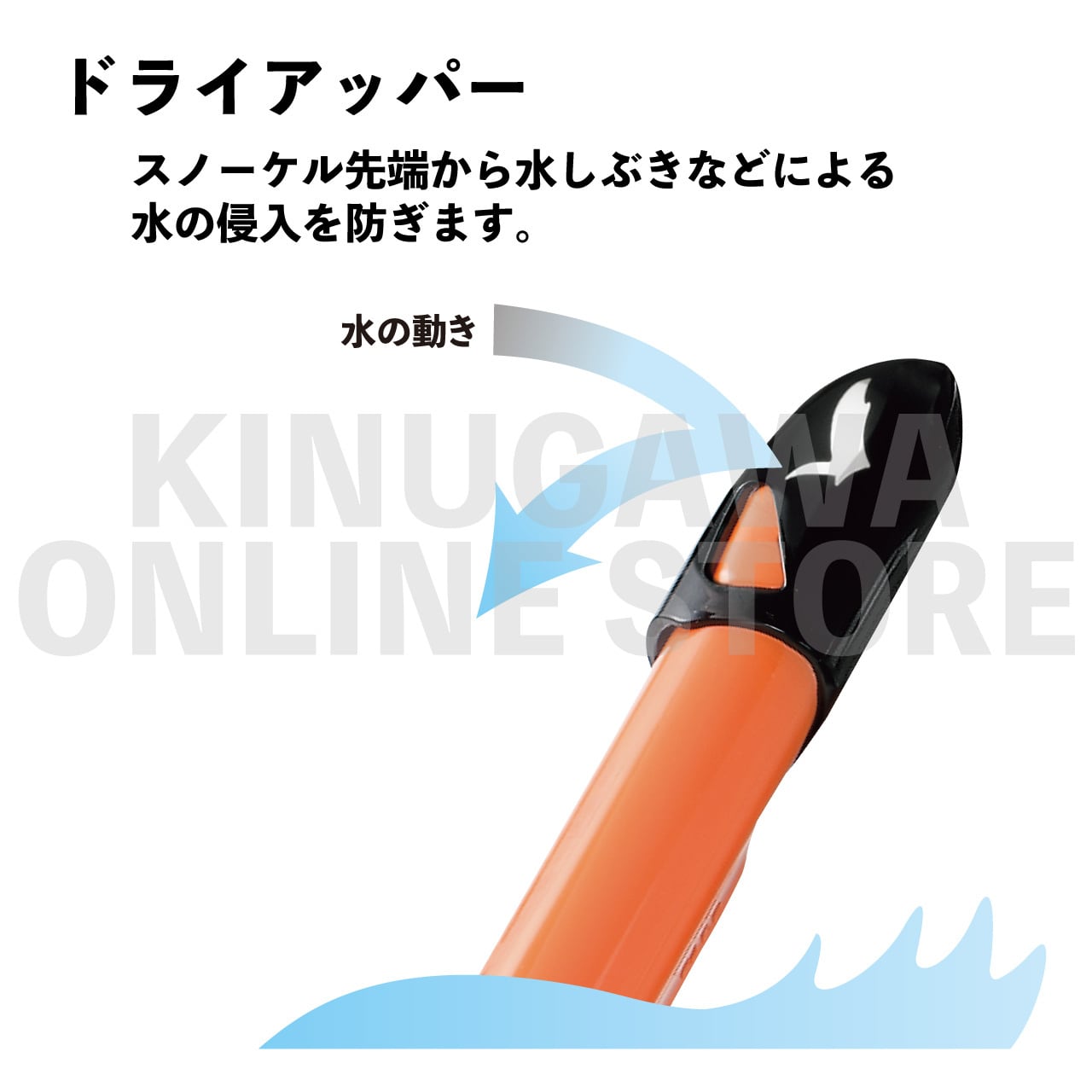 レイラドライSP GULL ガル ダイビングスノーケル