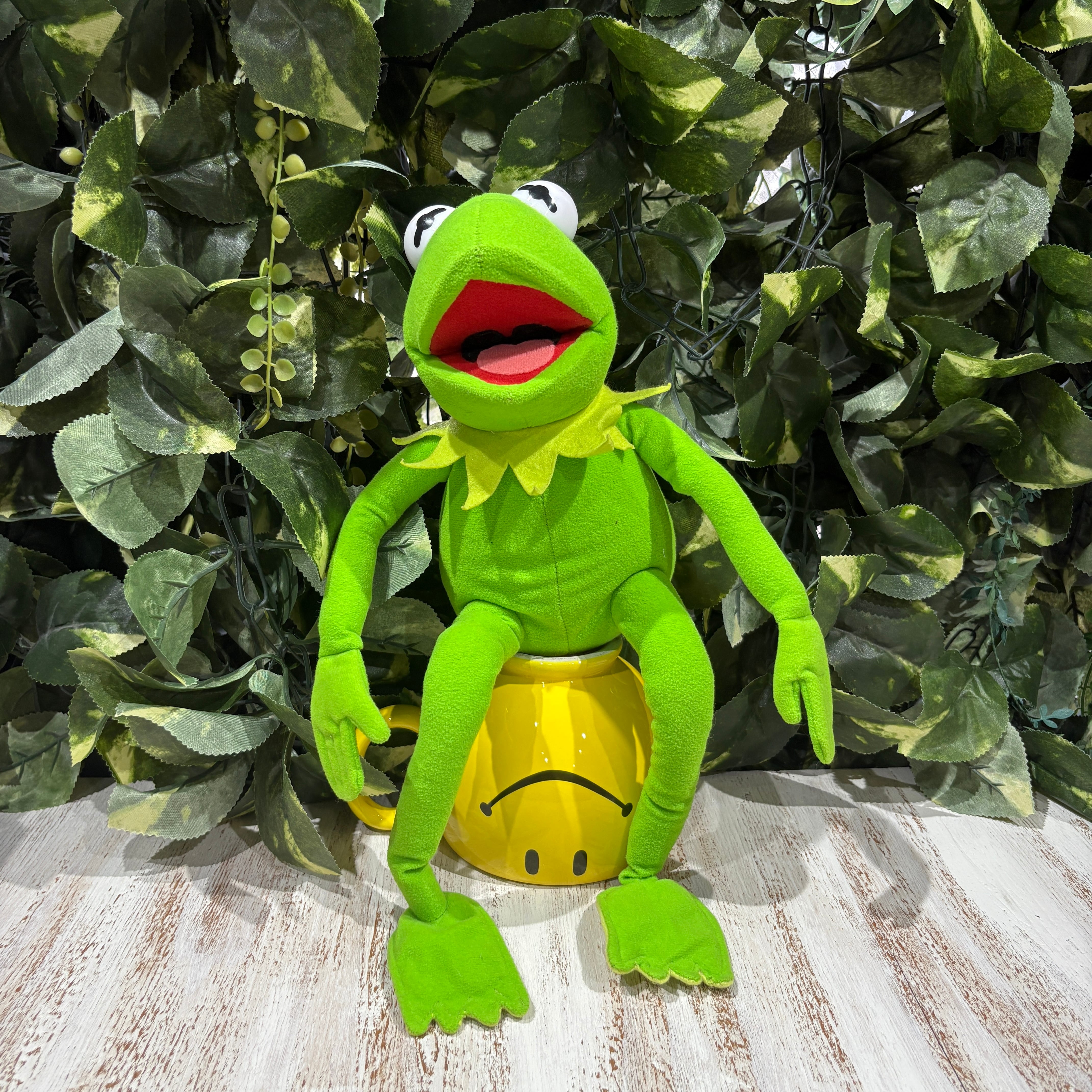 手足が動くよカーミット☆マペットショー☆セサミストリート