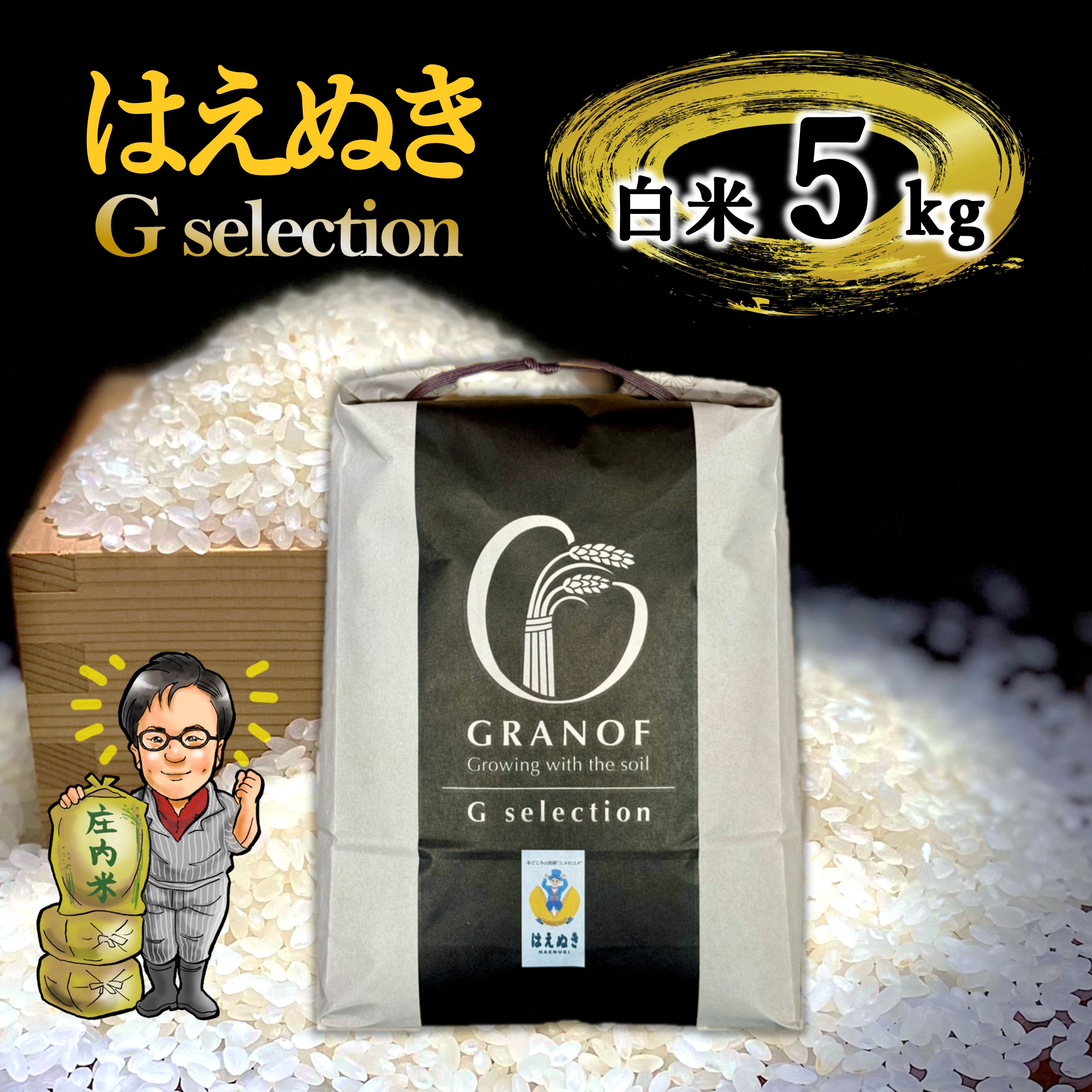 新米 雪若丸 白米5kg Gセレクション 特別栽培米 令和8年 山形県庄内産