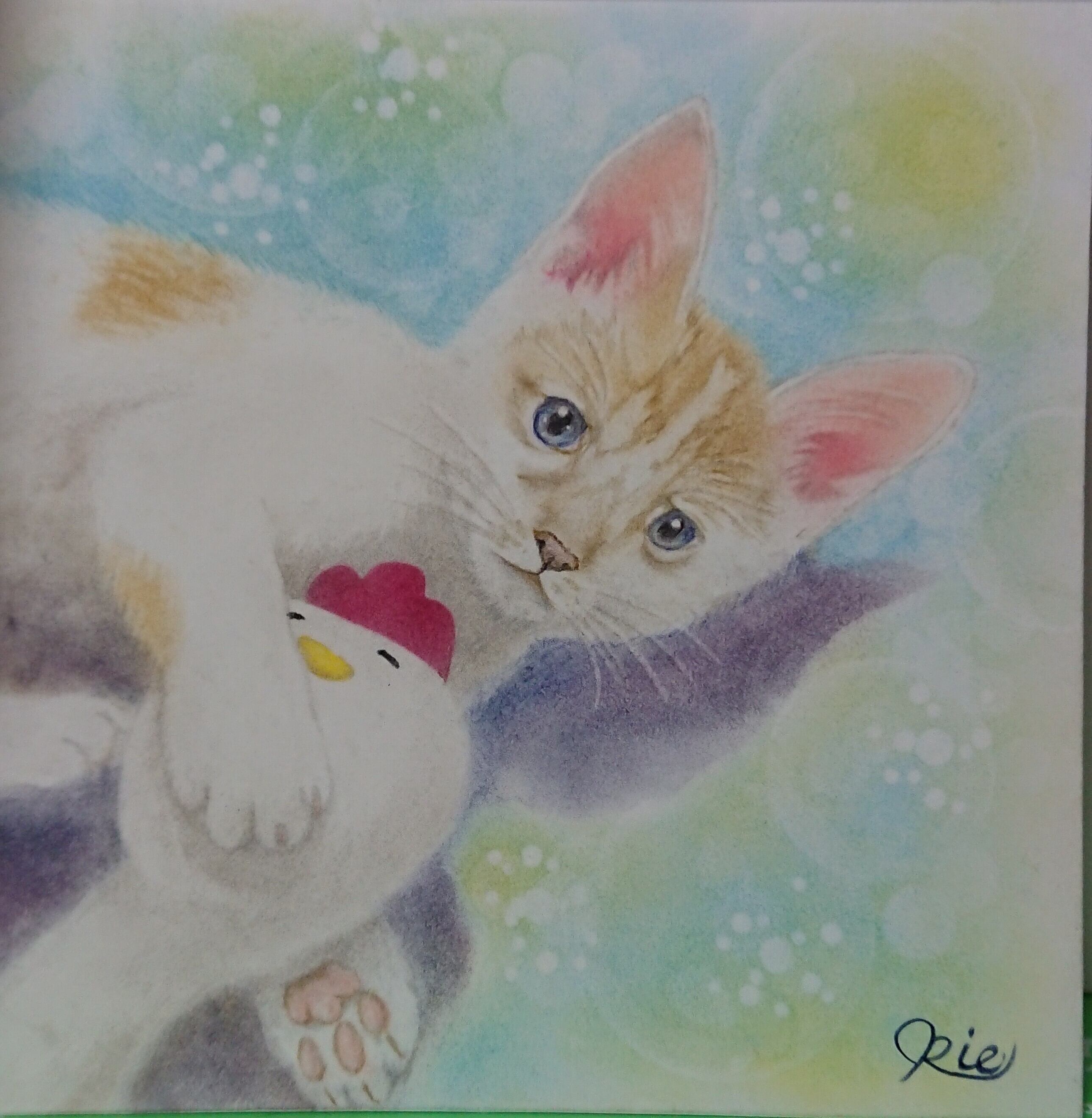 オーダー可 手描き 原画 イラスト 色鉛筆画 パステル画 ペット 動物