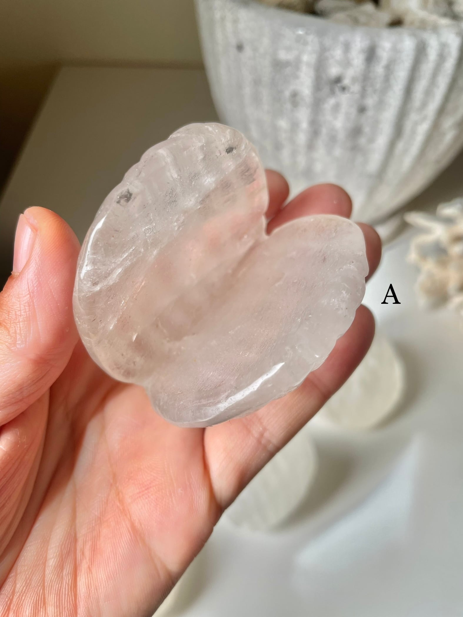 Crystal Shell / 水晶　貝