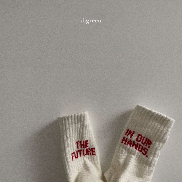 digreen26su_Future Socks