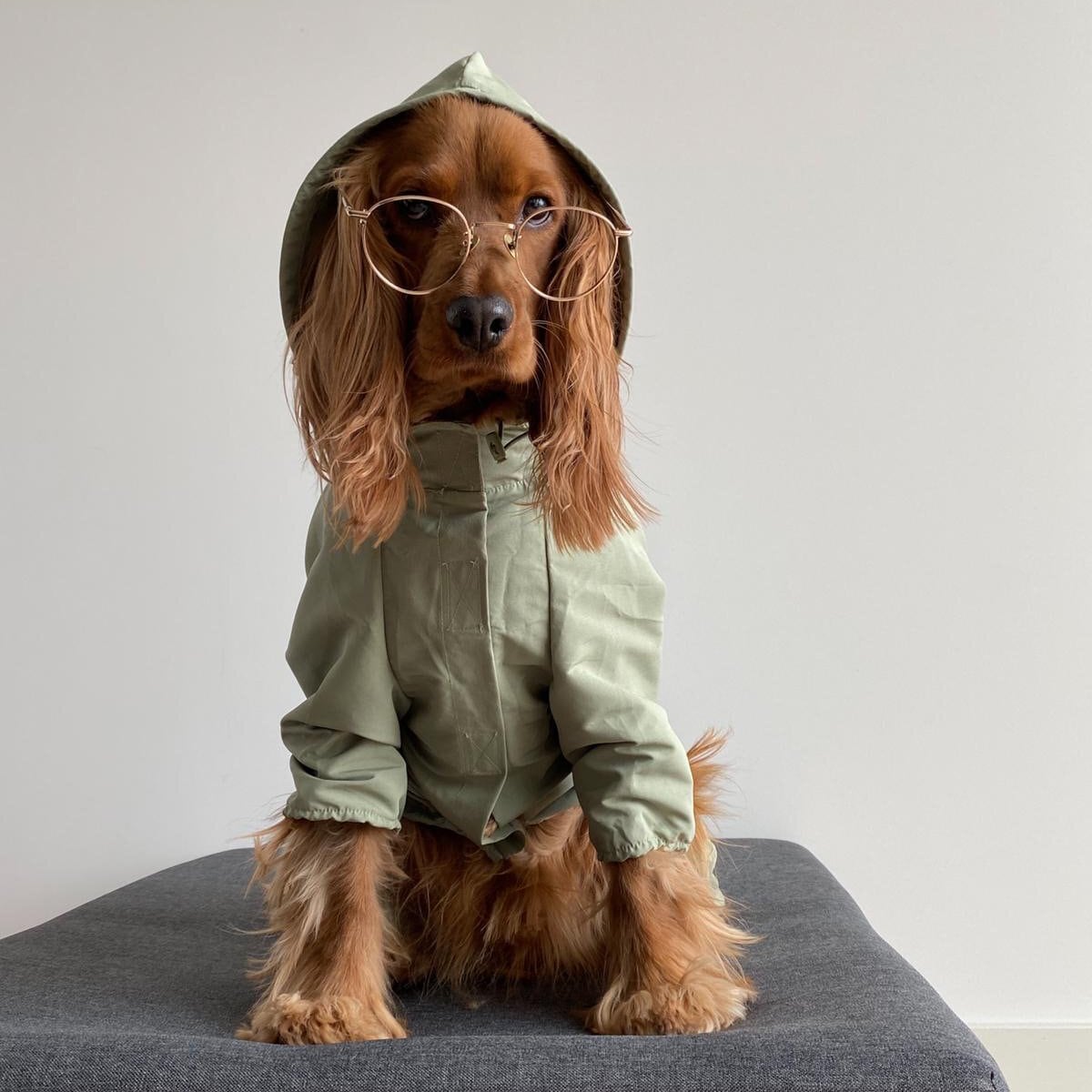 長袖 フード付きコート 犬服 小型犬服 中型犬服 大型犬服 ペット服