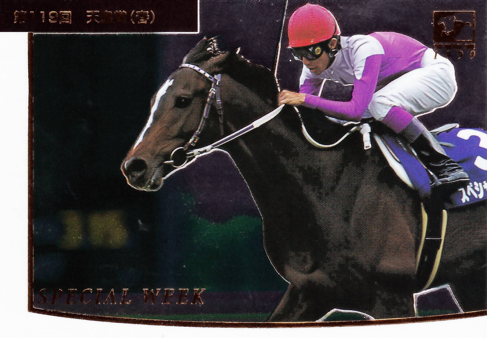 現地単勝1999年天皇賞（春） スペシャルウィーク 100円 99年天皇賞春スペシャルウィーク単勝馬券現地 【公式通販】